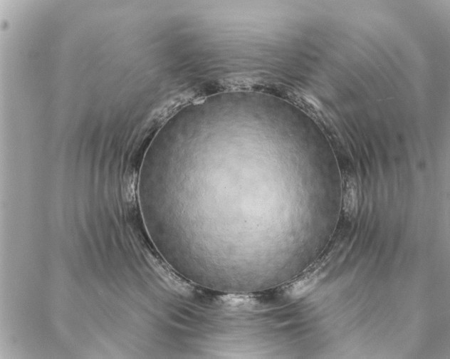 X0000087380477200705041950