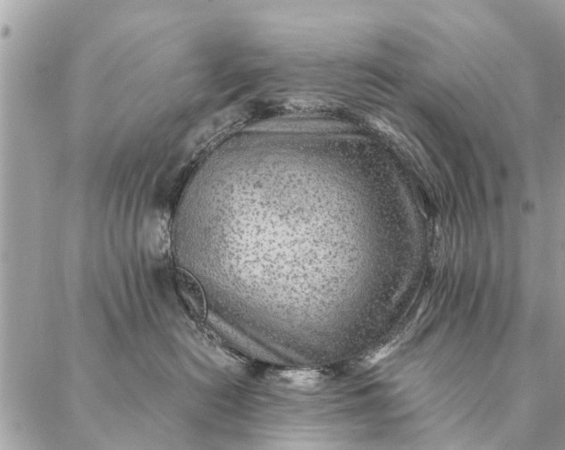 X0000087380478200705041950