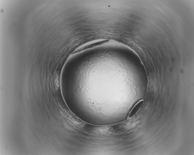 X0000087380479200705041950