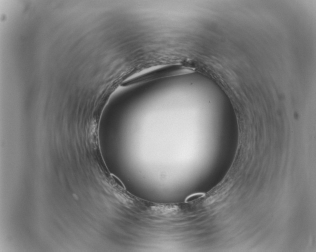 X0000087380480200705041950