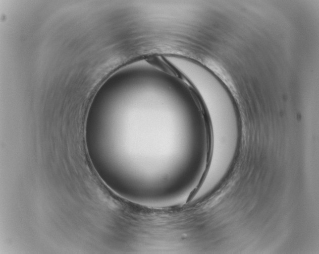 X0000087380481200705041949