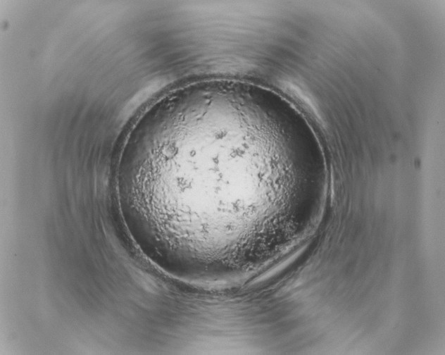 X0000087380483200705041949