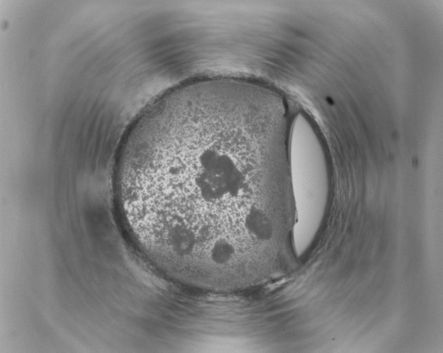 X0000087380487200705041949