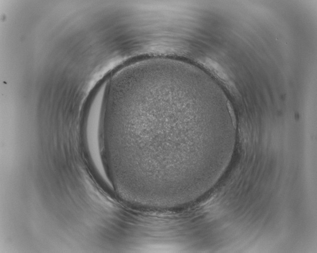 X0000087380488200705041949