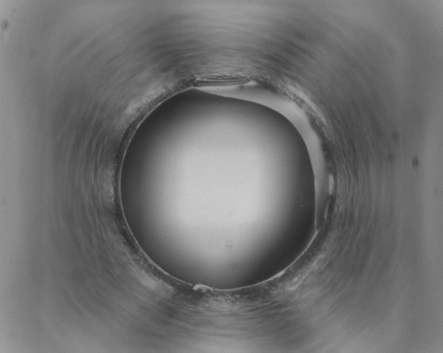 X0000087380489200705041949