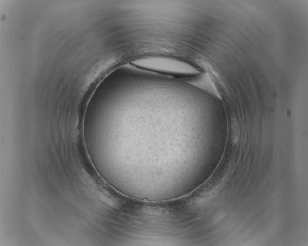 X0000087380490200705041949