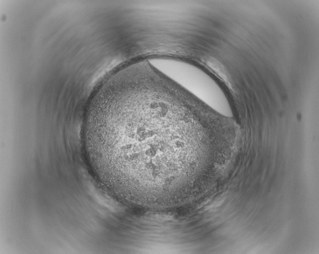 X0000087380491200705041949