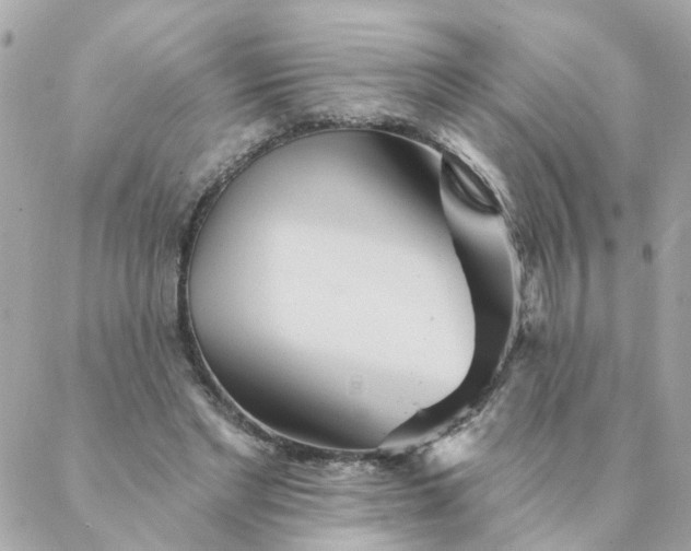 X0000087380493200705041949