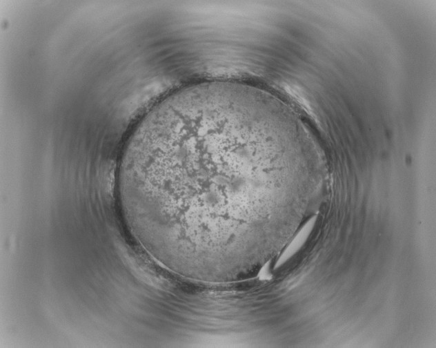 X0000087380495200705041949