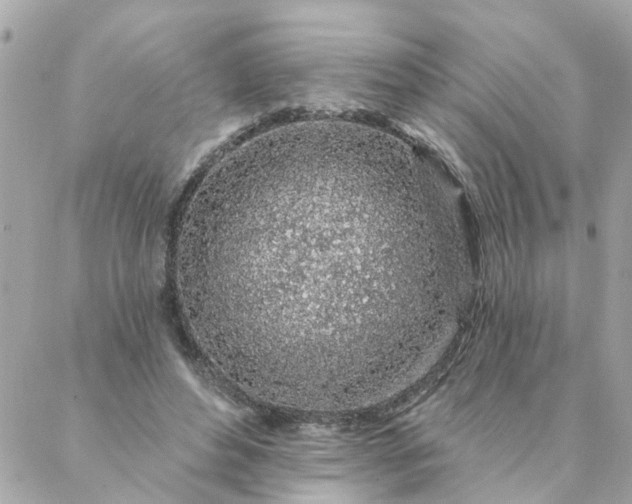 X0000087380496200705041949