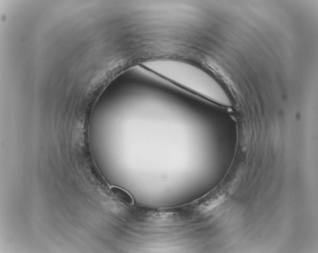 X0000087380497200705041949