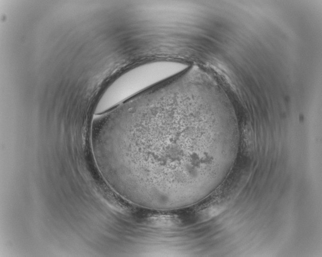 X0000087380499200705041949