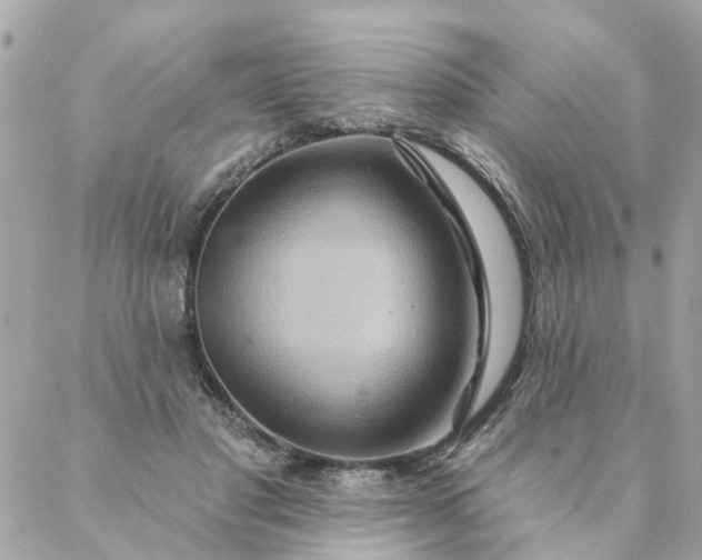 X0000087380501200705041949