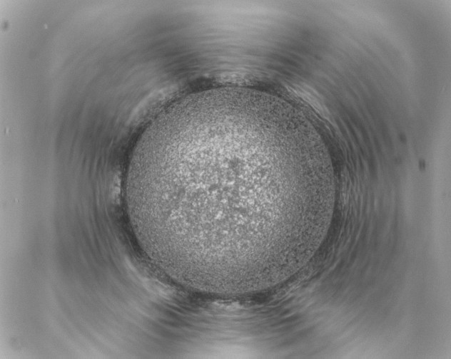 X0000087380502200705041949