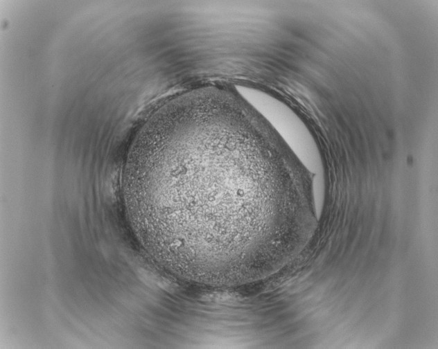 X0000087380503200705041949