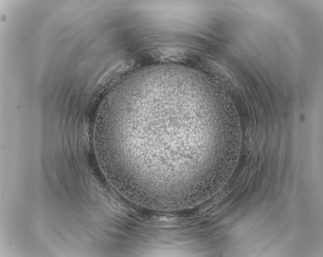 X0000087380506200705041949