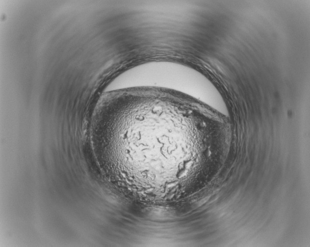 X0000087380507200705041949