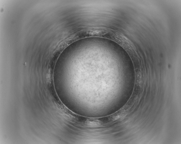 X0000087380510200705041949