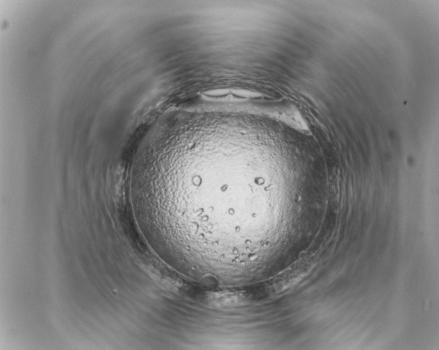 X0000087380511200705041949