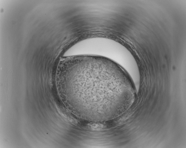 X0000087380512200705041948