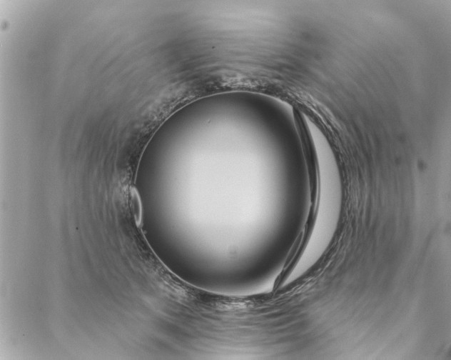 X0000087380513200705041948