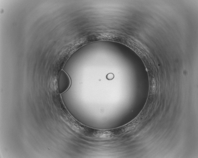 X0000087380514200705041948