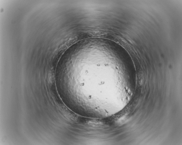 X0000087380515200705041948