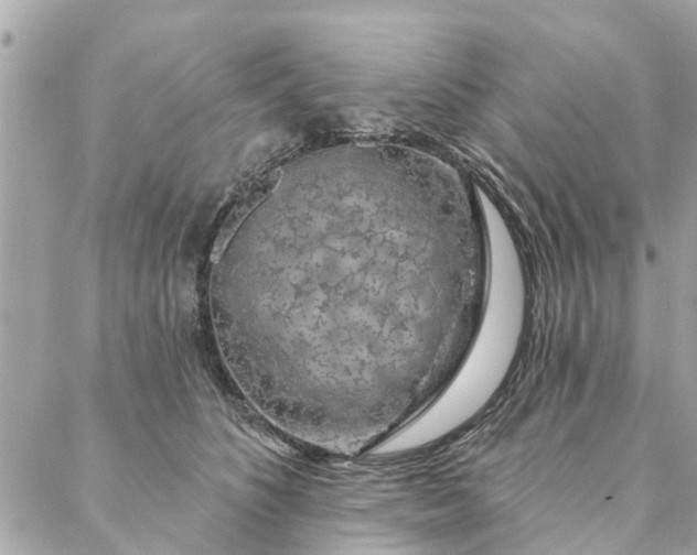 X0000087380516200705041948