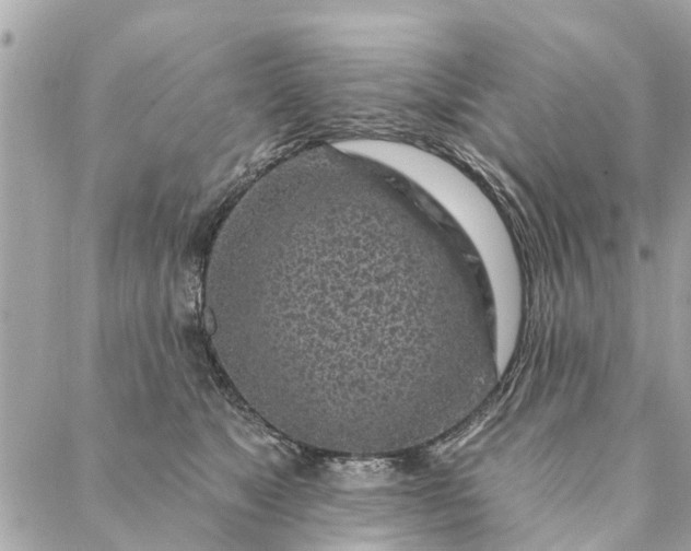 X0000087380517200705041948