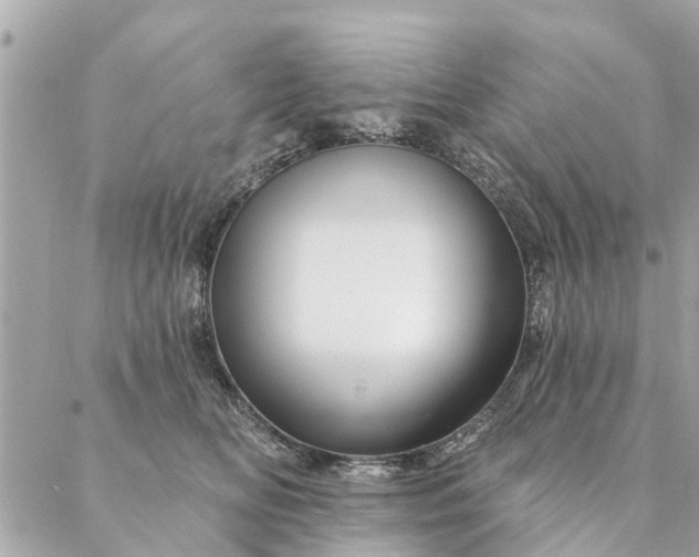 X0000087380518200705041948