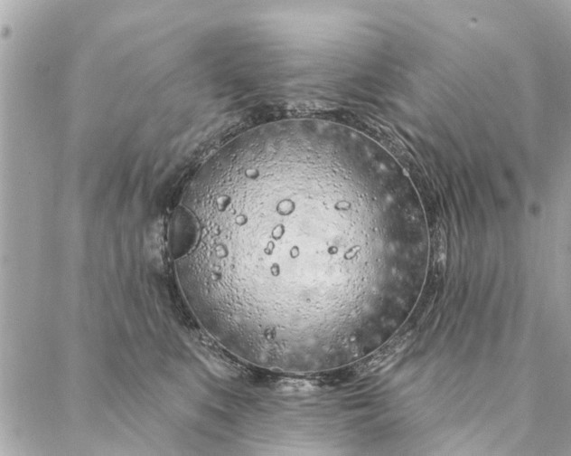 X0000087380519200705041948