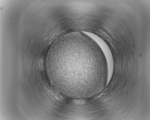 X0000087380520200705041948