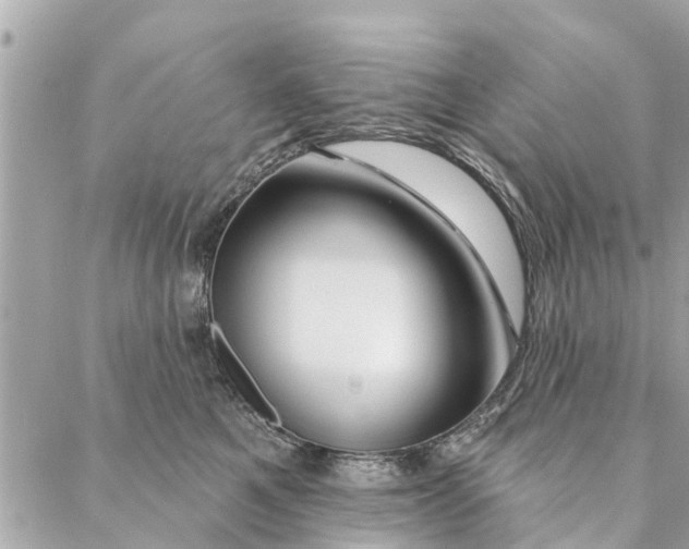 X0000087380521200705041948