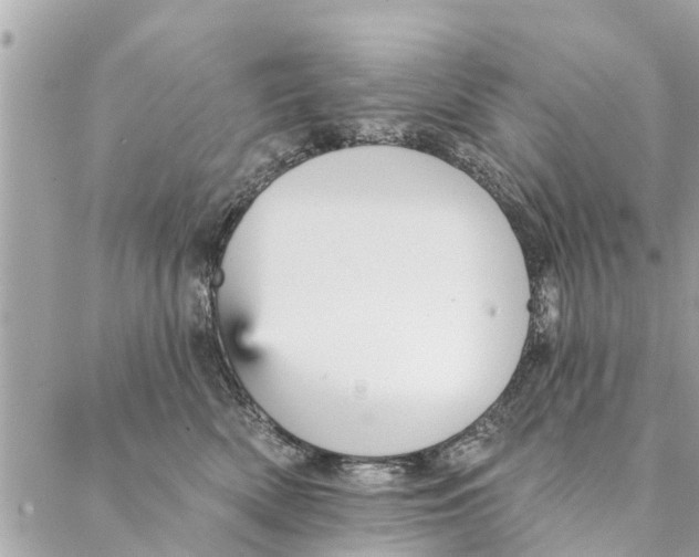 X0000087380522200705041948