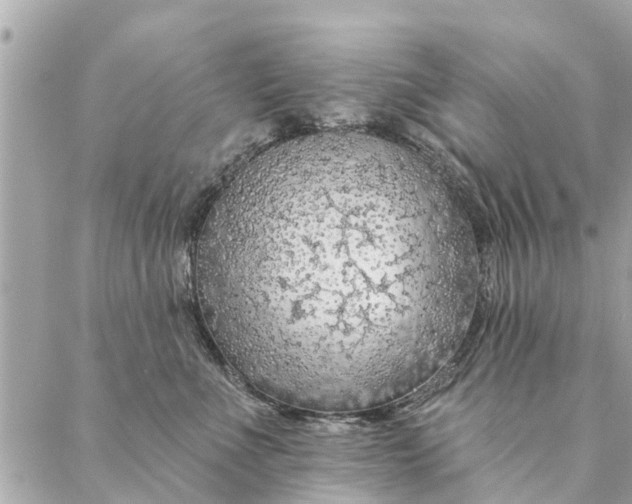 X0000087380523200705041948