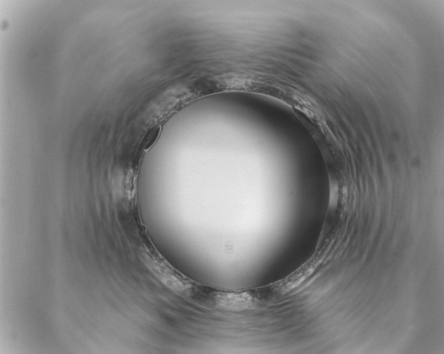 X0000087380525200705041948