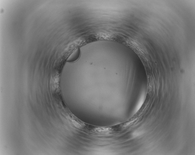 X0000087380526200705041948