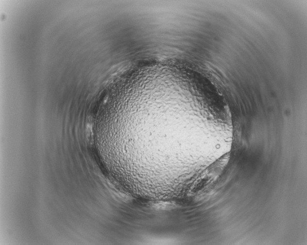 X0000087380527200705041948