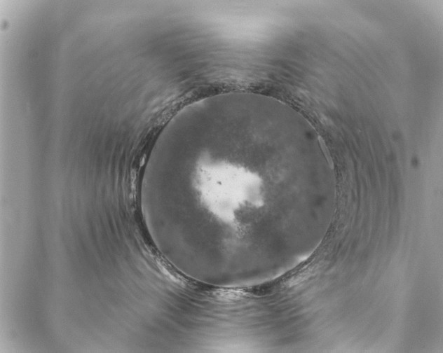 X0000087380528200705041948