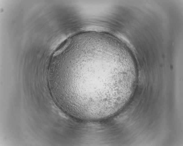 X0000087380529200705041947