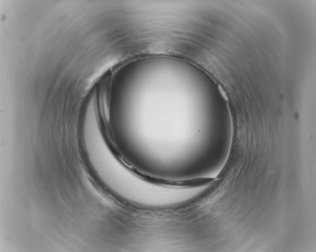 X0000087380530200705041947