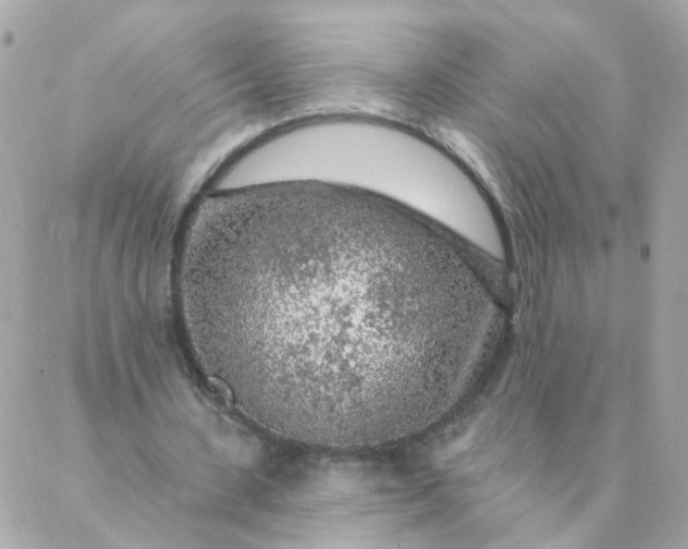 X0000087380531200705041947