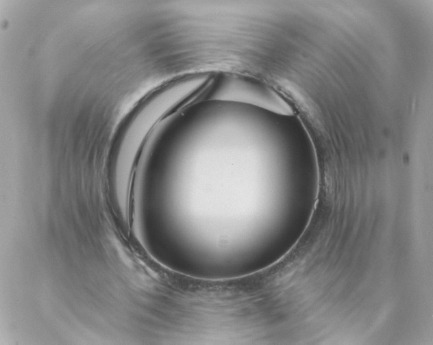 X0000087380532200705041947