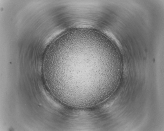 X0000087380533200705041948