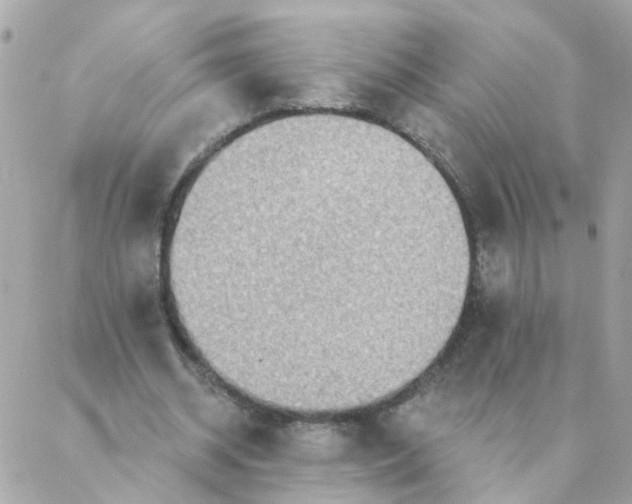 X0000087380534200705041948