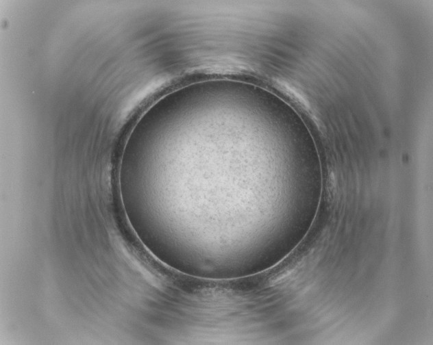 X0000087380535200705041948