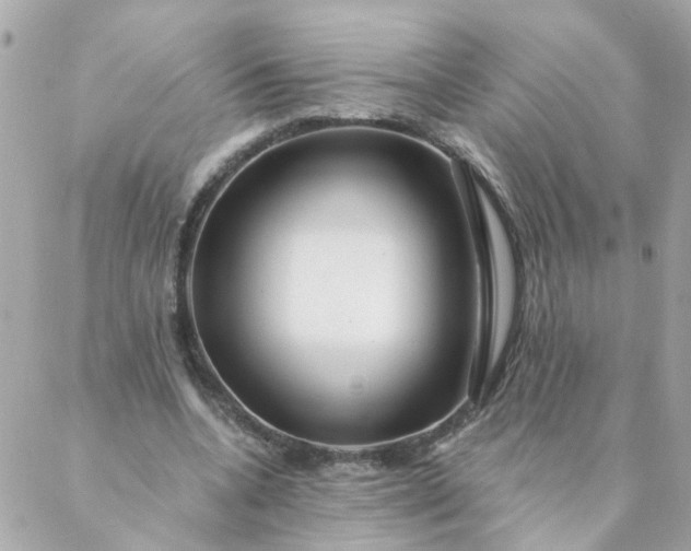 X0000087380536200705041948