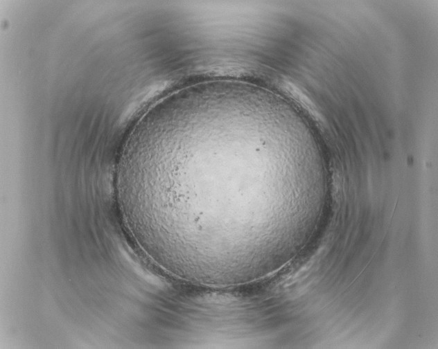 X0000087380537200705041948