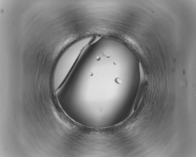 X0000087380538200705041948