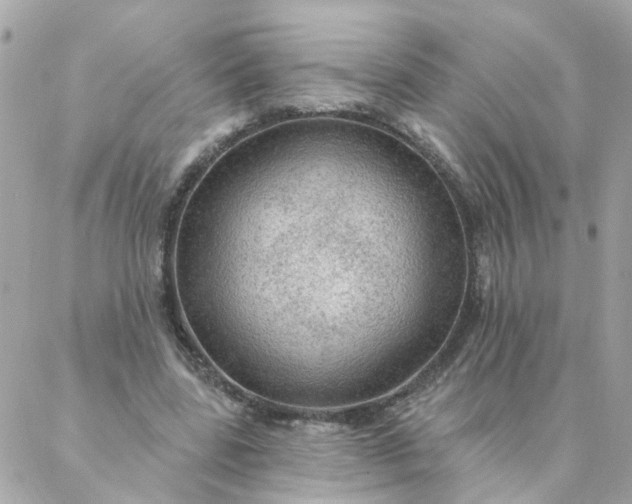 X0000087380539200705041948